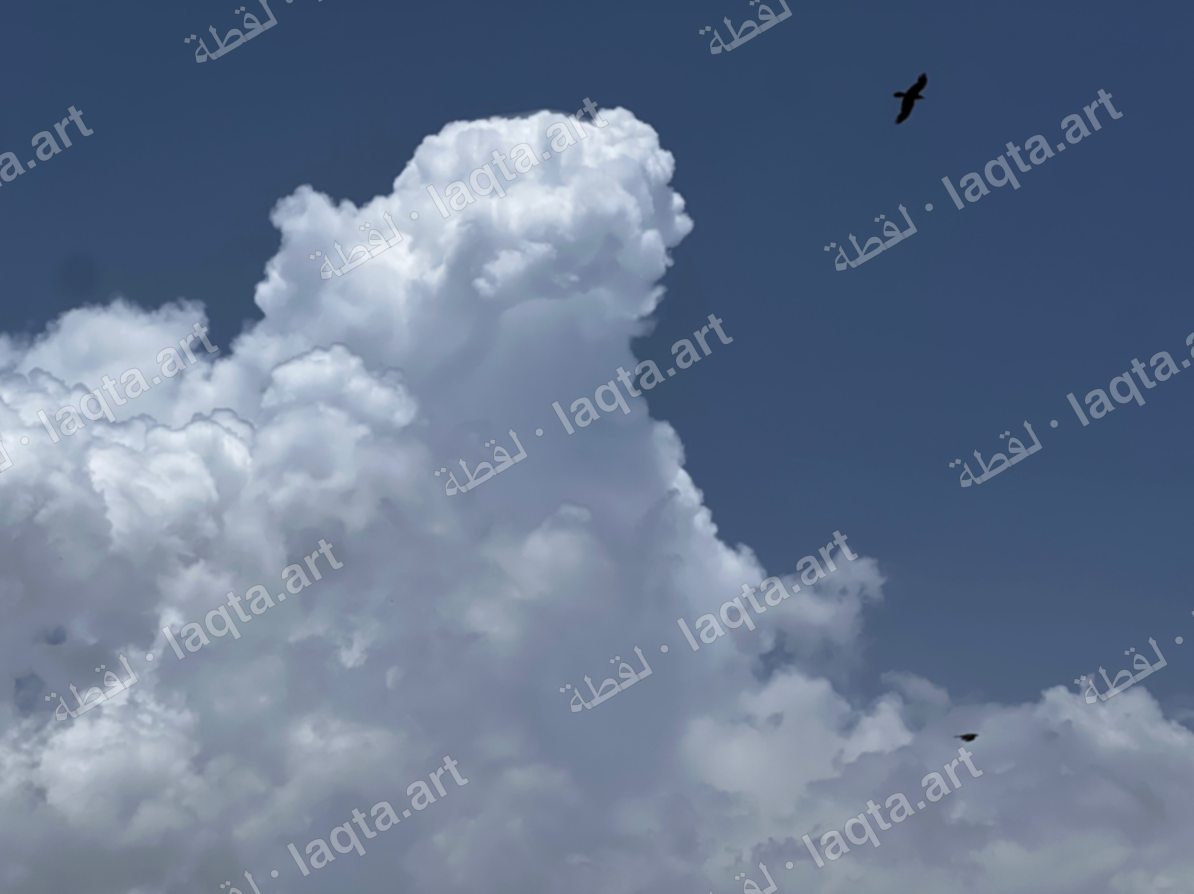 من أعمال وعد عمار ياسين الزكري — 6