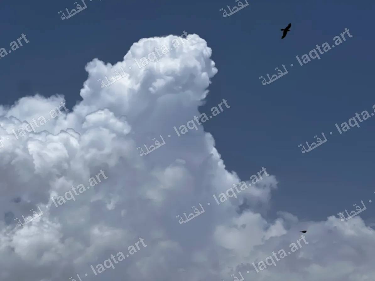 من أعمال وعد عمار ياسين الزكري — 6