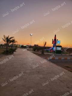 من أعمال سيد مؤمن بامؤمن 2